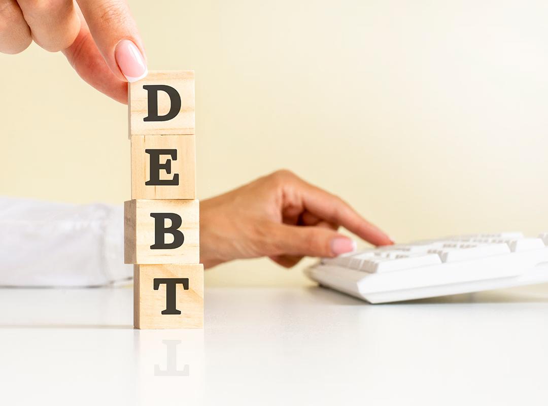 Debt Management System Dashboard