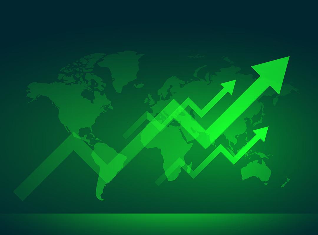 Money Market Investment Management Interface